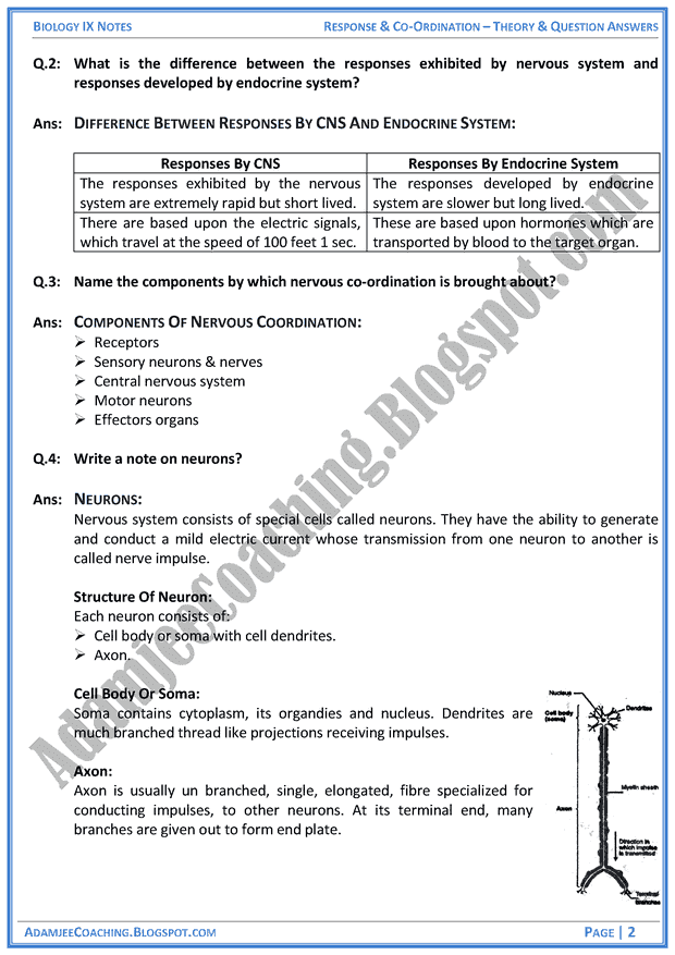 response-and-coordination-theory-notes-and-question-answers-biology-notes-for-class-9th