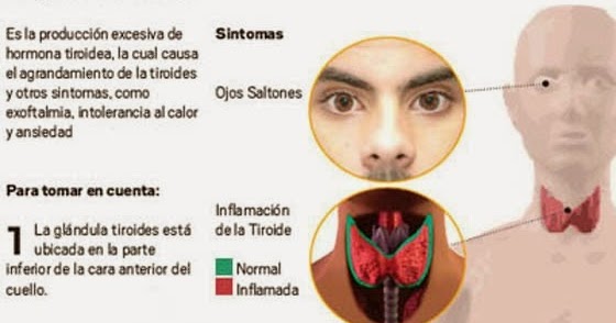 infusiones para adelgazar mercadona infusiones para adelgazar mercadona