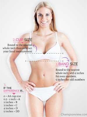 how to correct measure your bra size champion products online view measure your bra size
