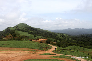 Photograph of landscape at Mandalpatti, Coorg. By Manju Panchal