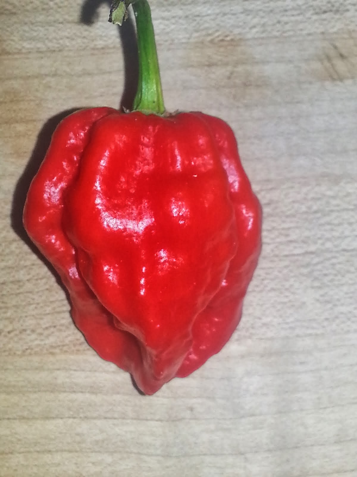 Trinidad Red Scorpion Pepper