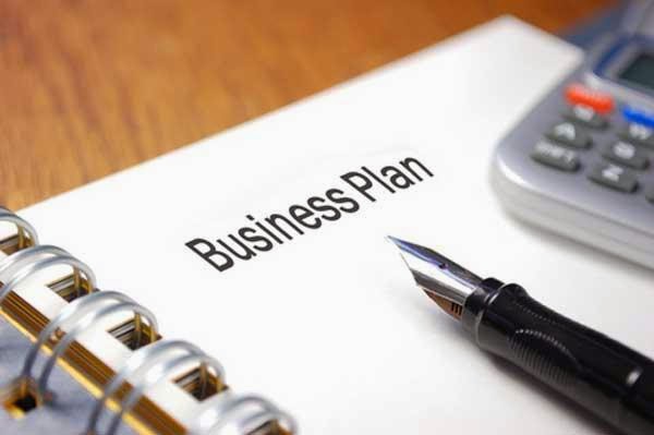 i need a professional business plan writer