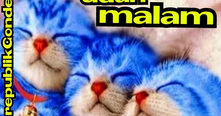 Dp Bbm Lucu Untuk Anak Anak Cerita Humor Lucu Kocak | dp bbm lucu untuk anak anak cerita humor lucu kocak Dp Bbm Lucu Untuk Anak Anak Cerita Humor Lucu Kocak | dp bbm lucu untuk anak anak cerita humor lucu kocak