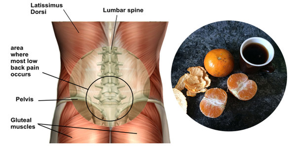 6 Pain-Killing Foods to Replace Pain Medication orange for pain
