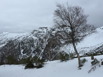 Ancares, Three Bishops Peak by E. V. Pita (2015) http://evpita.blogspot.com/2016/01/ancares-three-bishops-peak-los-ancares.html Los Ancares, pico 3 obispos por E. V. Pita (2015) Os Ancares, cumio dos Tres Bispos http://evpita.blogspot.com/2016/01/ancares-three-bishops-peak-los-ancares.html Ancares, Three Bishops Peak by E. V. Pita (2015) http://evpita.blogspot.com/2016/01/ancares-three-bishops-peak-los-ancares.html Los Ancares, pico 3 obispos por E. V. Pita (2015) Os Ancares, cumio dos Tres Bispos http://evpita.blogspot.com/2016/01/ancares-three-bishops-peak-los-ancares.html