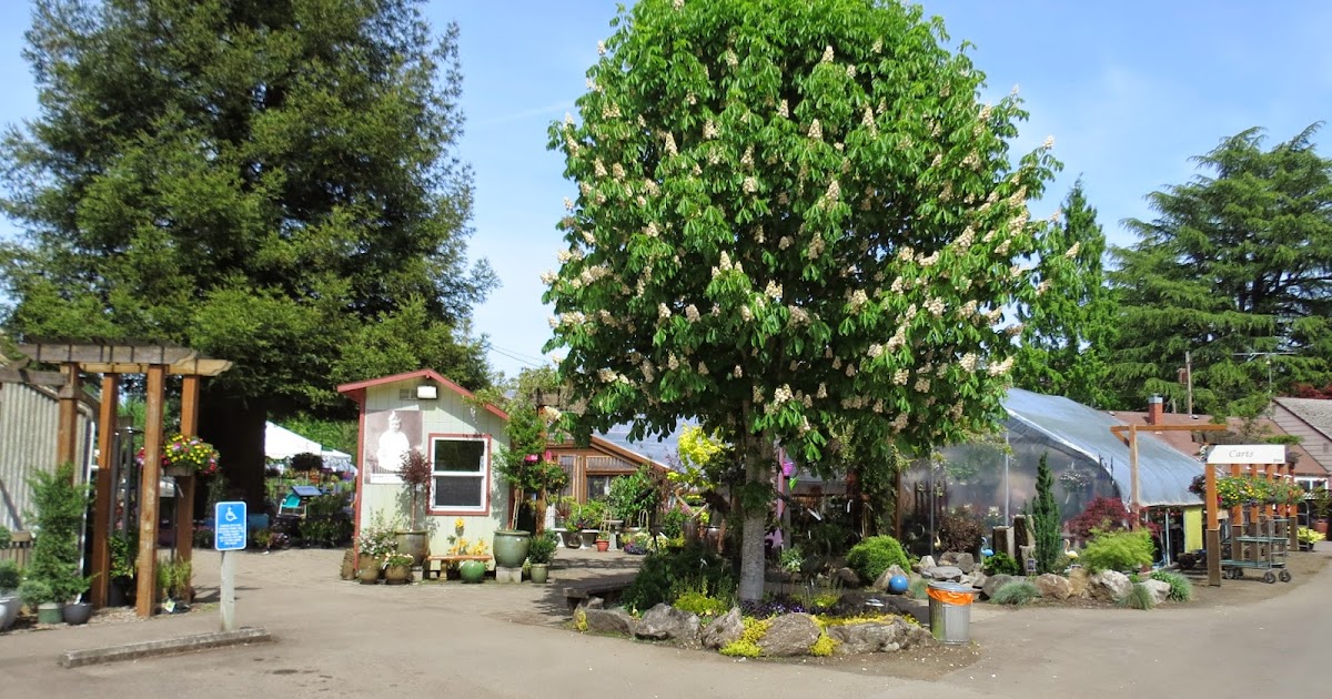 A Stop at Garland Nursery
