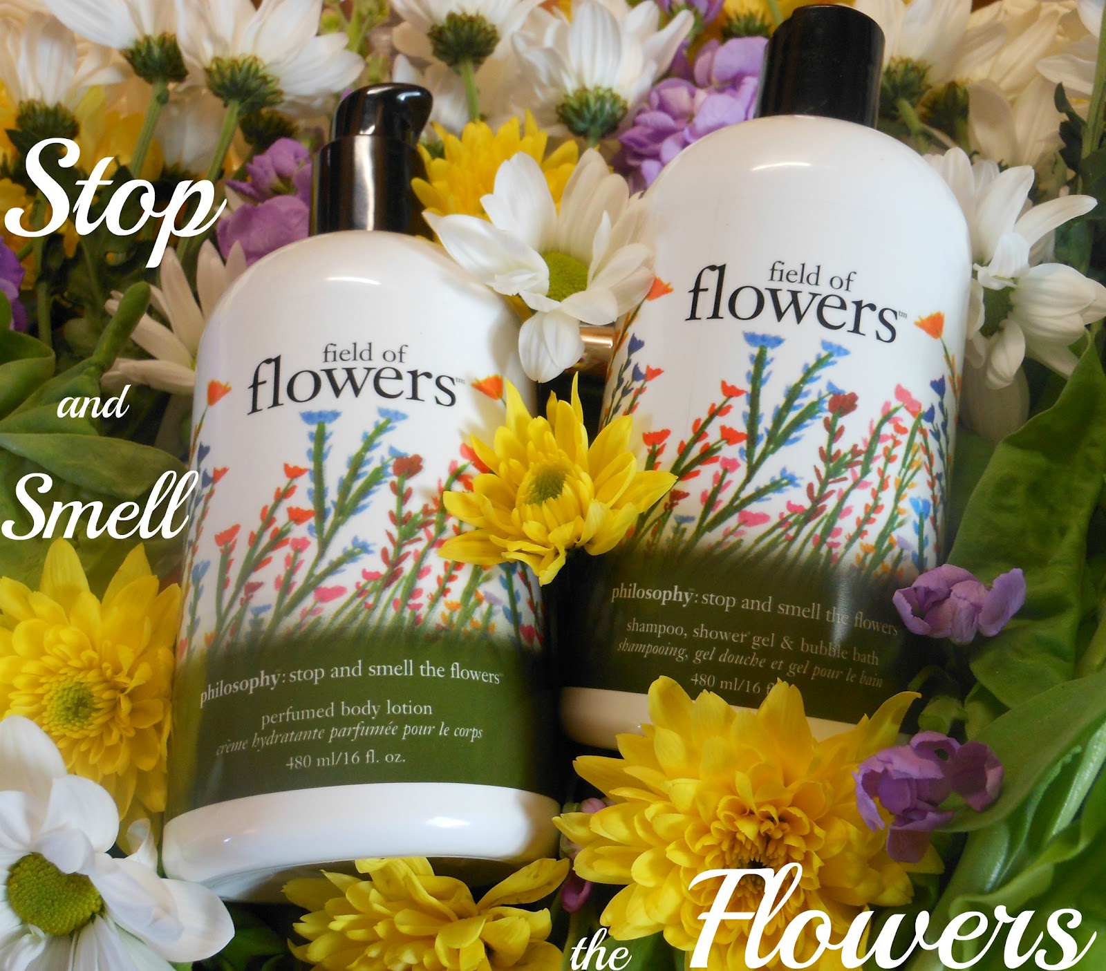 CherrySue, Doin' the Do Philosophy Field of Flowers