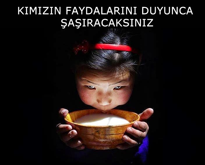 At Sütü Nerede Satılır, Fiyatı Ne Kadar, Kımızın Faydaları Nelerdir At Sütü Nerede Satılır, Fiyatı Ne Kadar, Kımızın Faydaları Nelerdir
