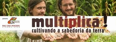 Projeto Multiplica - Multiplicando a Biodiversidade com Sementes