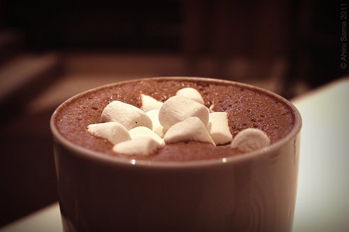 Cocoa With Marshmallows