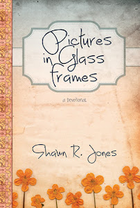 Pictures In Glass Frames