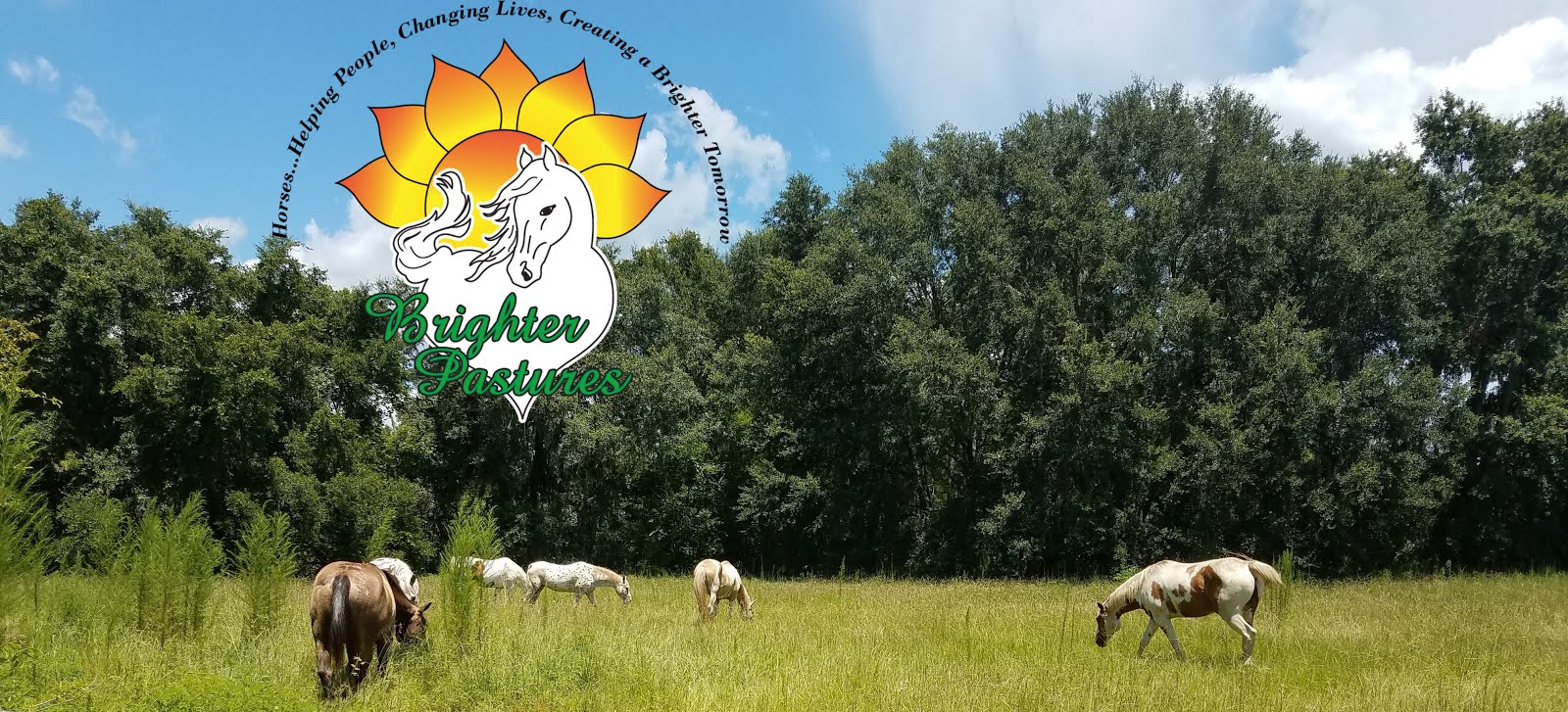 Brighter Pastures