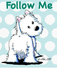 Follow me