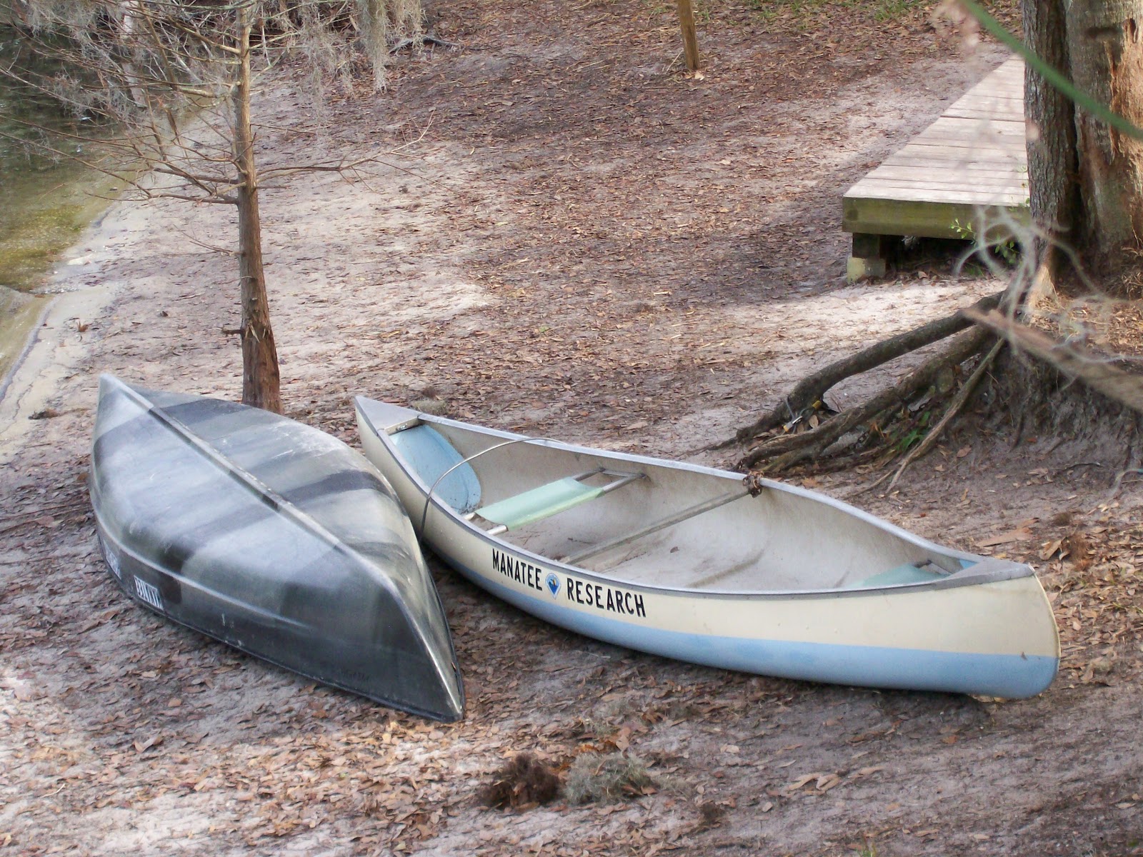 Letting Go Finding Hope through AlAnon Roll Roll Roll Your Boat