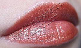 Swatches Cosmetics Свотчи Косметики Губная помада для губ Lipstick Loreal №273 Cinnamon&Chocolate