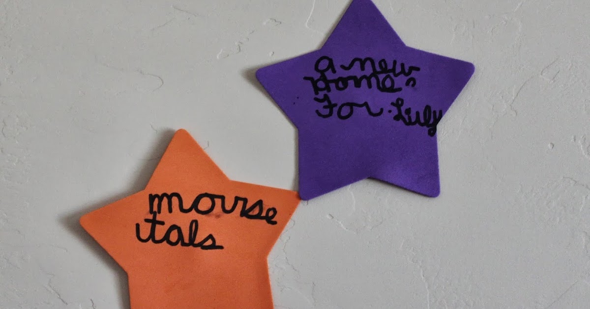 Through the Calm and Through the Storm Reading Stars {ReadAloud