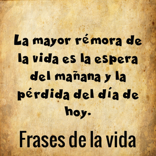 Frases de la vida