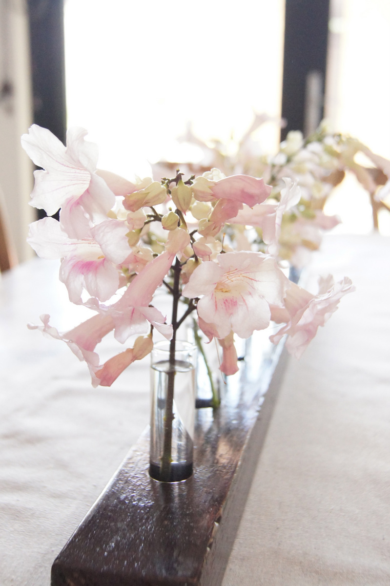 La Maison Jolie Test Tube Bud Vase DIY Tutorial