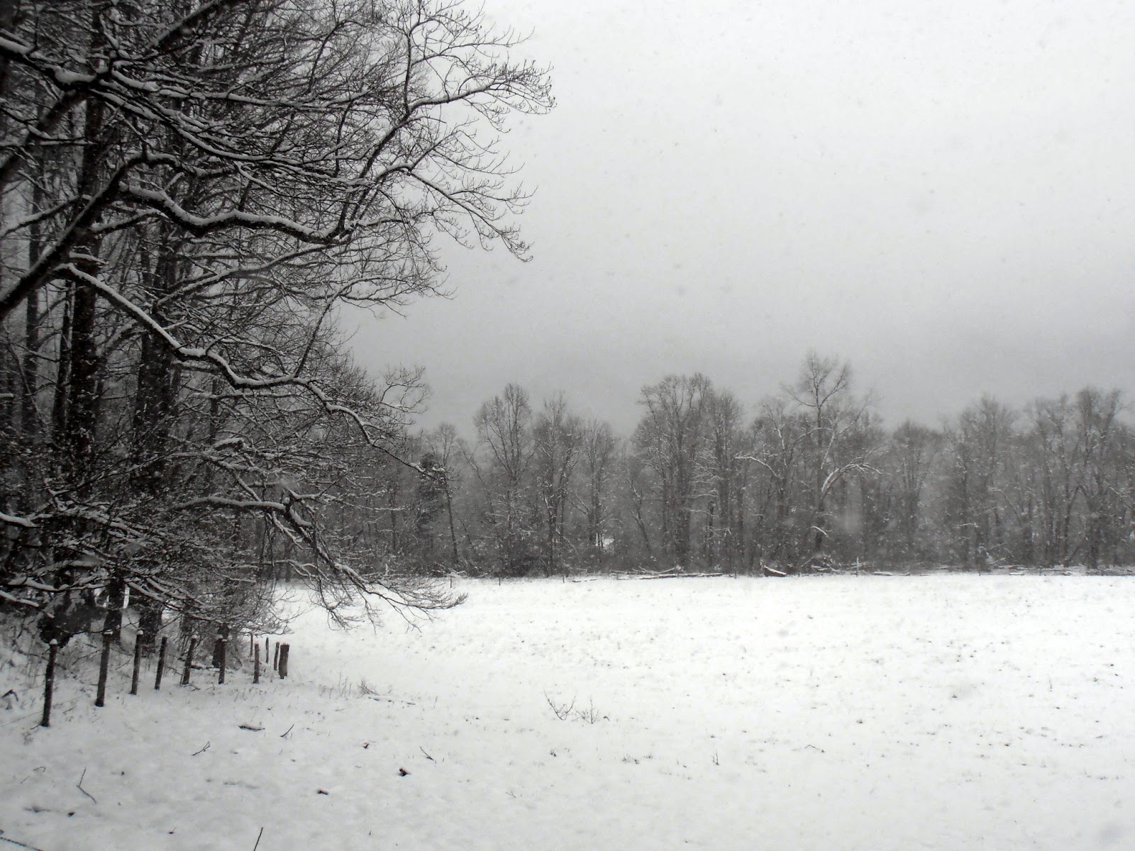 American Travel Journal Snow in Cades Cove Great Smoky Mountains