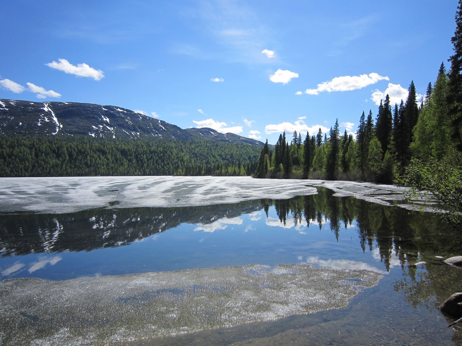 Amy Brown Science Byer's Lake Our 7 Mile Hike in Alaska