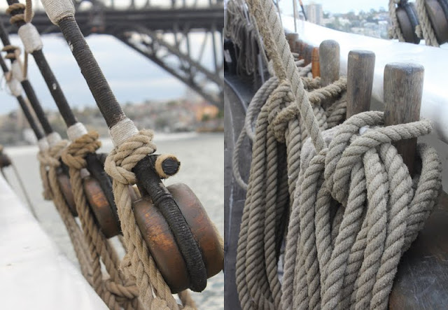 sailing tall ships on beautiful sydney harbour