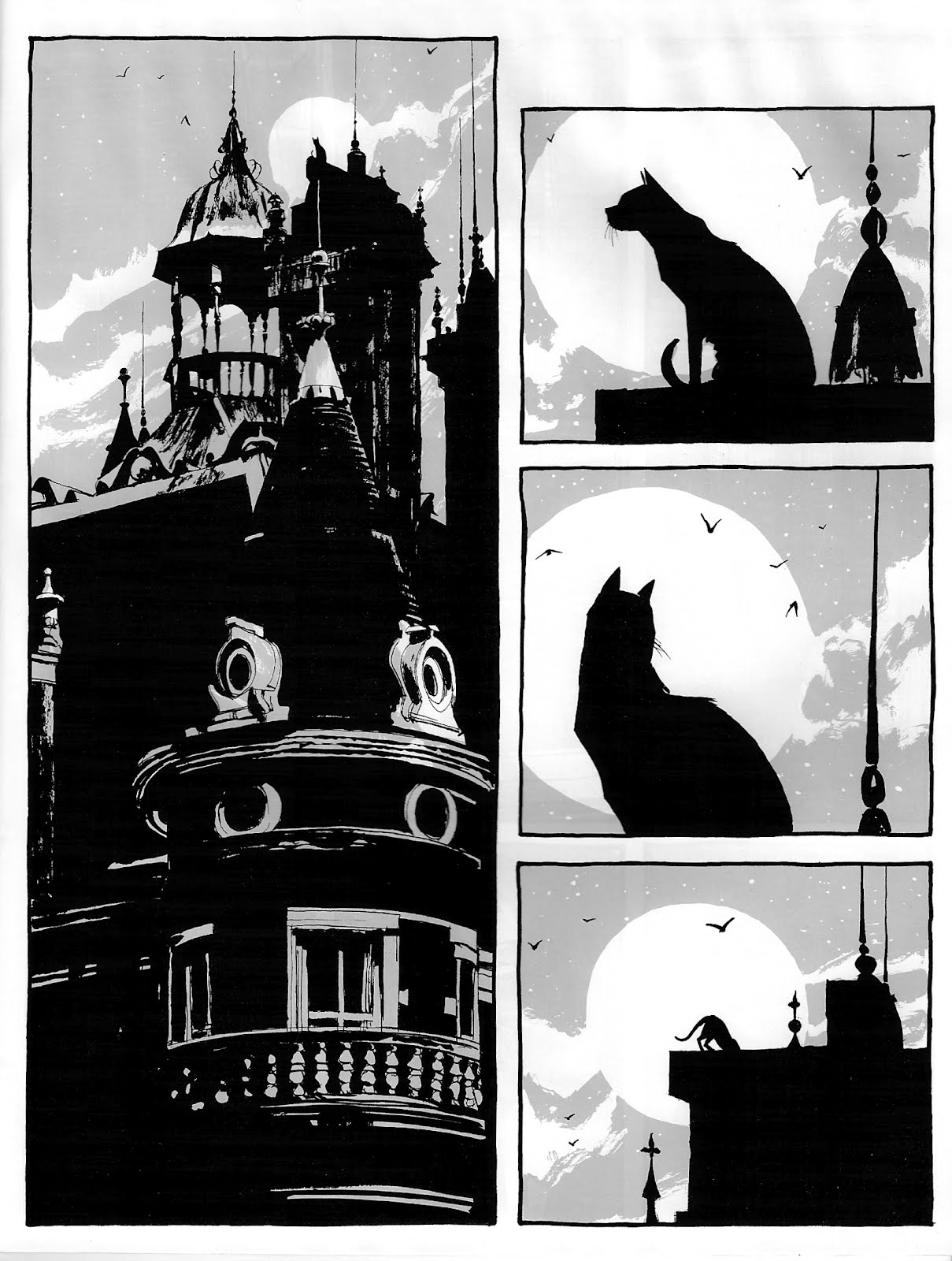 Cultural Synergy On the edge of the world Dave McKean's cats