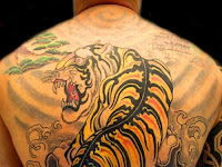 Yakuza Tiger And Dragon Tattoo Yakuza Tiger And Dragon Tattoo