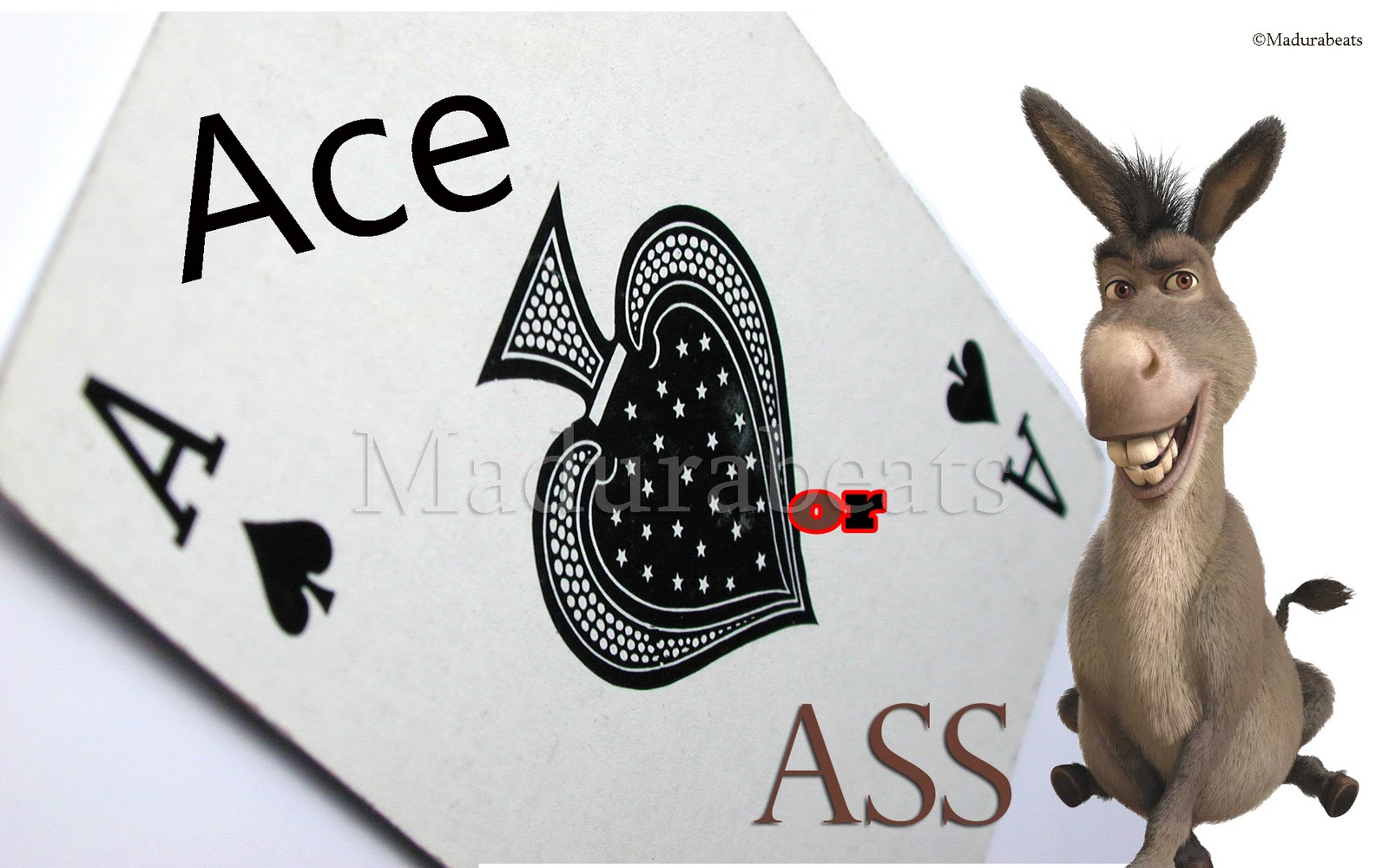 Ace or Ass - A confusion over the Ace game