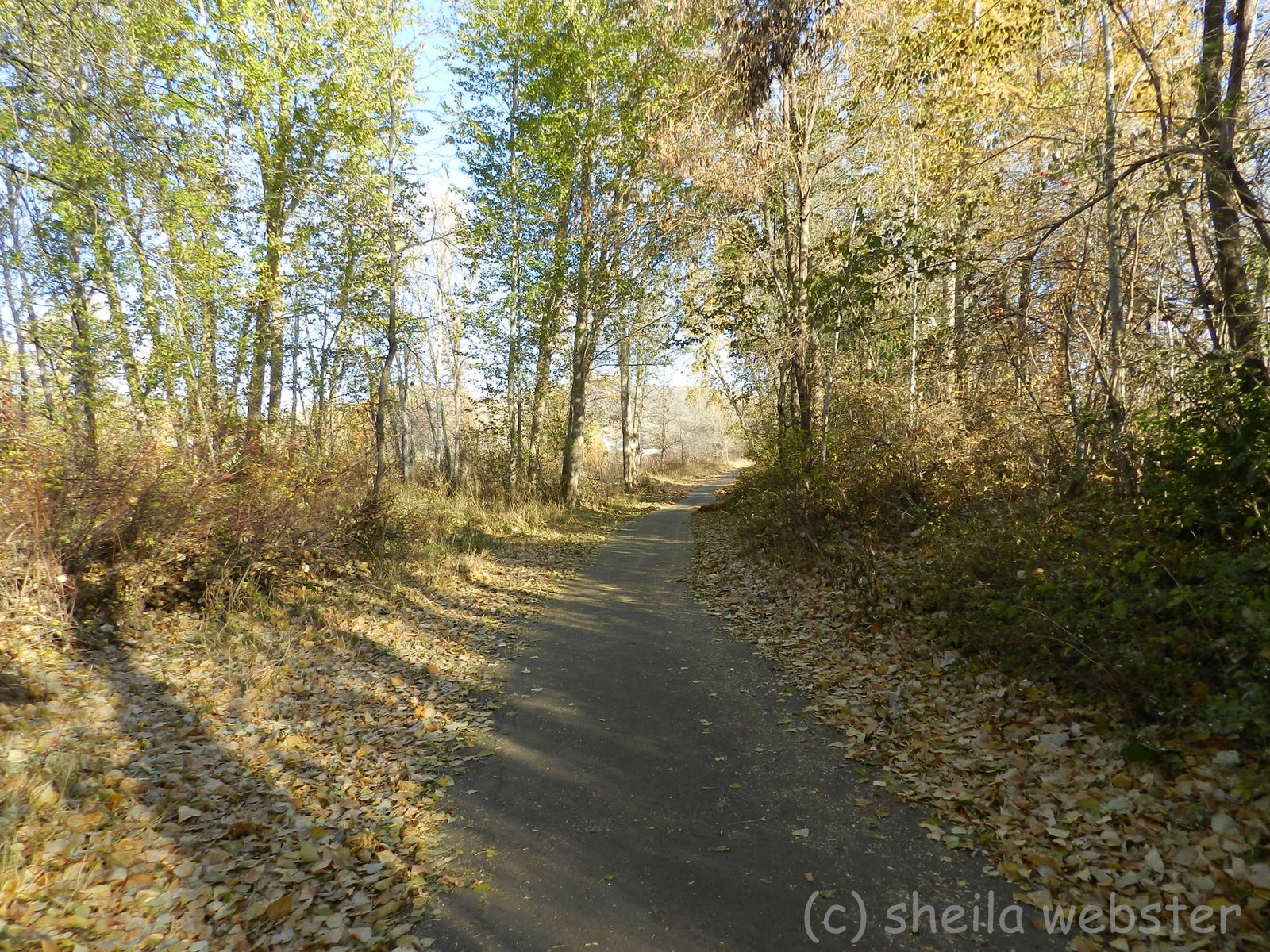 welovekamloops McArthur Island Park Autumn Kamloops, BC
