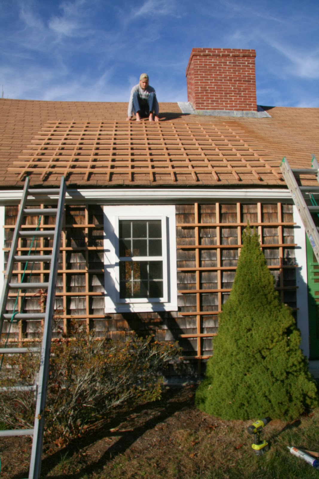 An Old Farm Building a Trellis