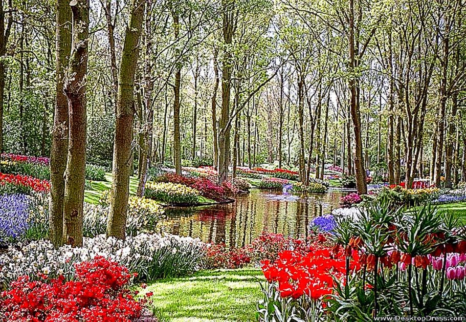 Desktop Wallpapers » Natural Backgrounds » Garden and Flowers Desktop Wallpapers » Natural Backgrounds » Garden and Flowers