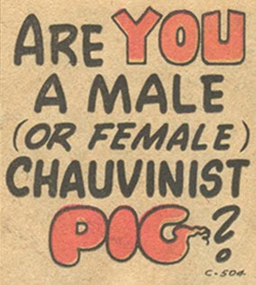 Blog226_Are%2BYou%2BA%2BChauvinist%2BPig