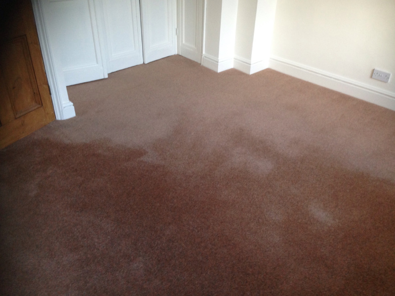 Watermark on my carpet pile reversal explained Art of Clean UK