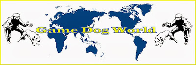 Game Dog World