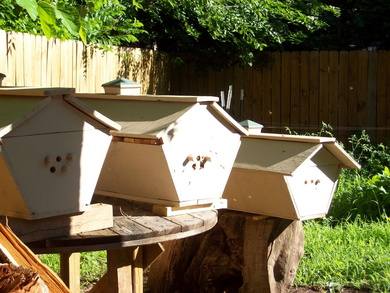 Homestead Roots Kenyan Top Bar Hives Why We Chose This Style