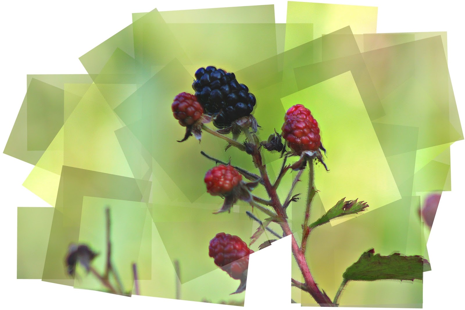 Christian Images In My Treasure Box Blackberries