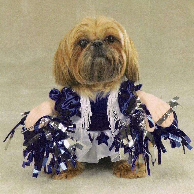Dog Clothing, Dog Clothes, accessories Dog Costumes, Pet Halloween