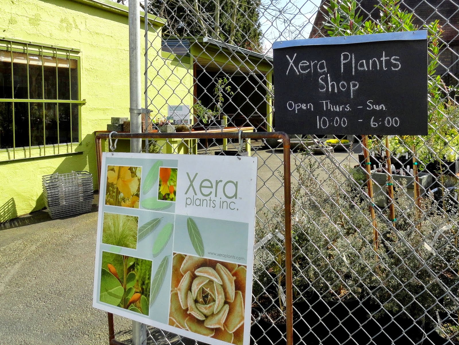 Garden Bloggers Fling: Oregon nurseries...heaven on earth for plant lovers!