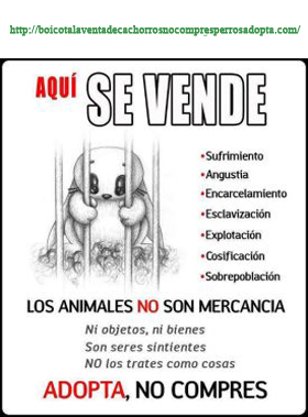 COMPRAR MASCOTAS POR INTERNET comprar mascotas por internet: