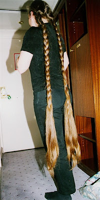 Long Hair Braids hairstyle
