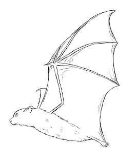 How To Draw A Bat - Draw Central
