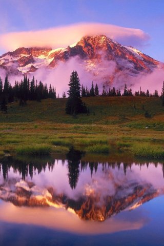 Mobile Phones Wallpaper