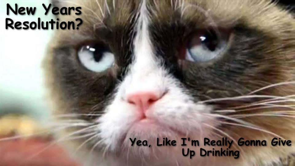 Grumpy Cat MeMe's By Gary Graefen