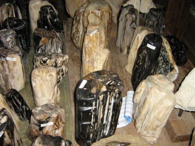 BATU FOSIL KAYU JATI BATU FOSIL KAYU JATI