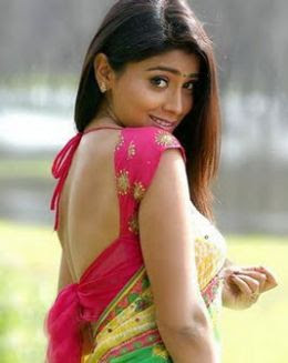 sreya in back neck blouse style
