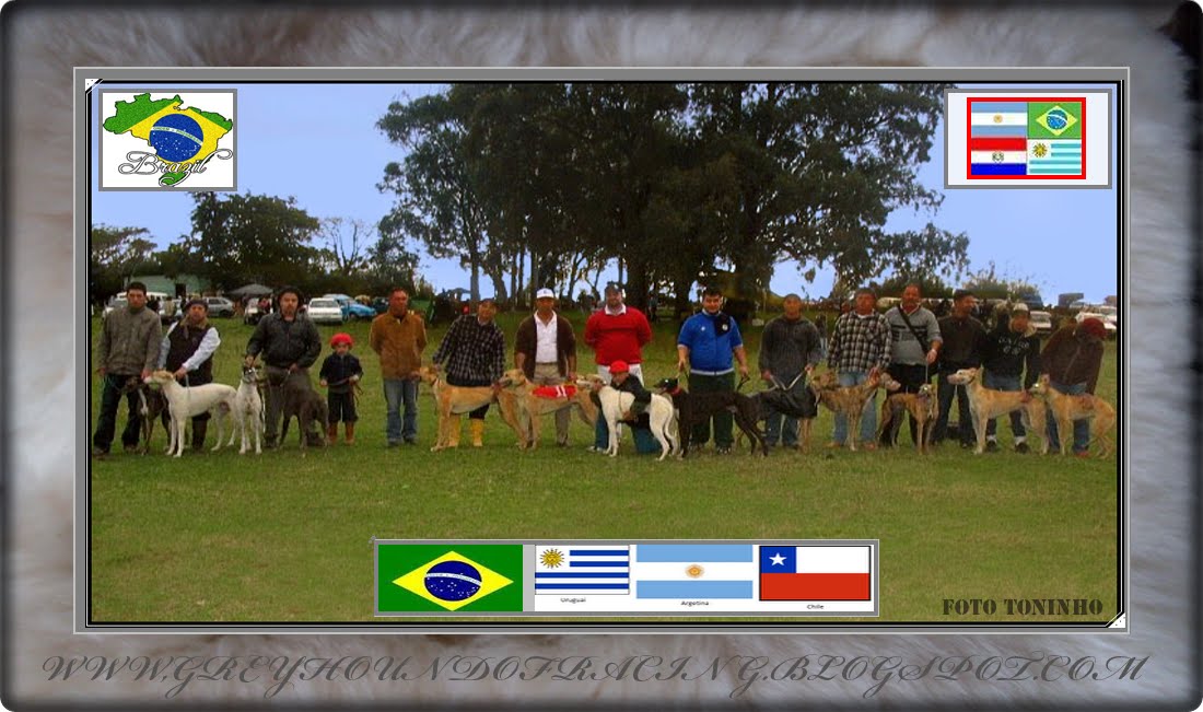 BRASIL - CIUDAD DE RIO GRANDE - RIO GRANDE DO SUL - GALGOS Y CRIADORES.