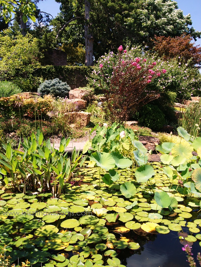 Tour Of The Linnaeus Teaching Gardens In Tulsa Ok