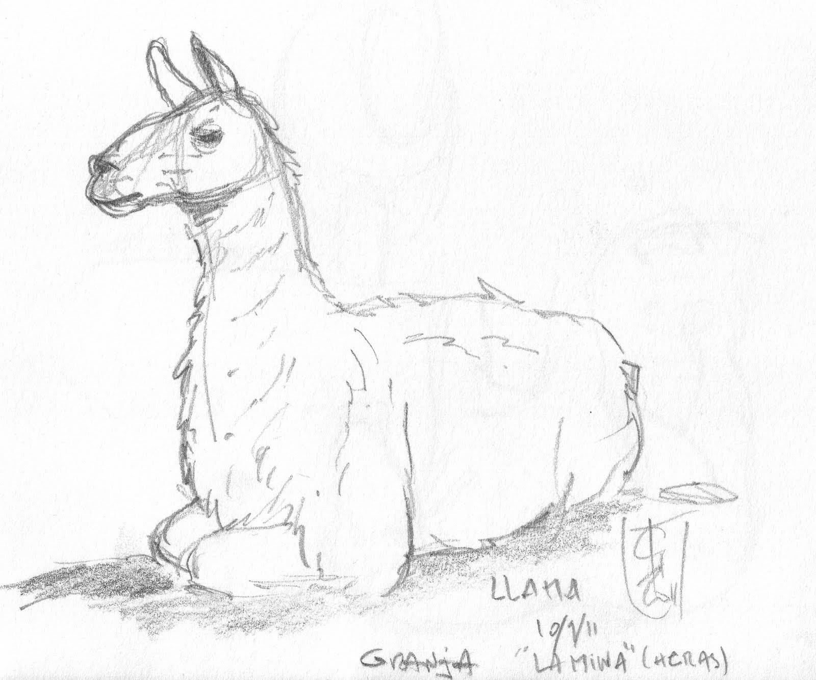 LAS 3 LEYES: boceto Llama