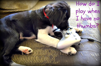 Princess the Puppy plays Xbox