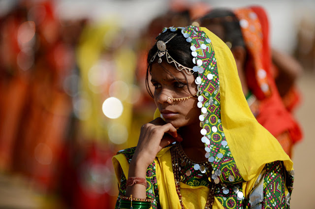 الهند: إحتفالات بوشكار لعام 2012 Pushkar+Camel+%2814%29